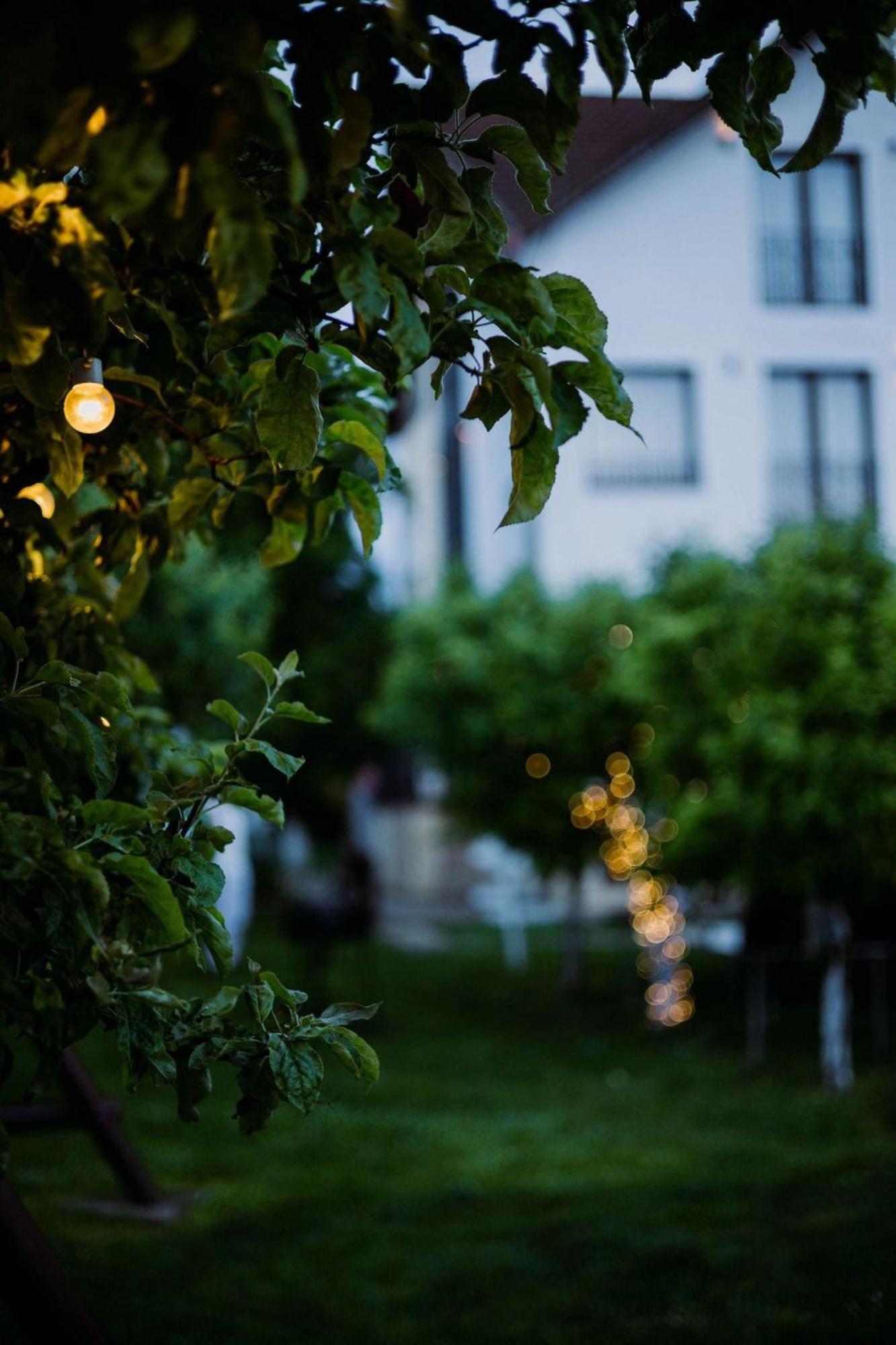 Stupina Hotel Brasov Ngoại thất bức ảnh