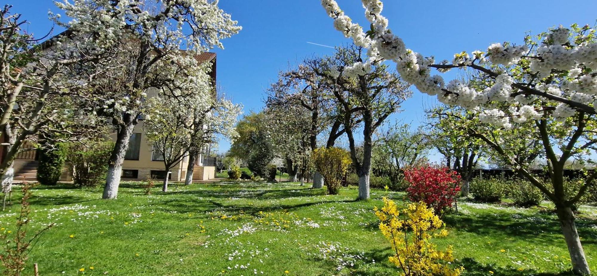 Stupina Hotel Brasov Ngoại thất bức ảnh