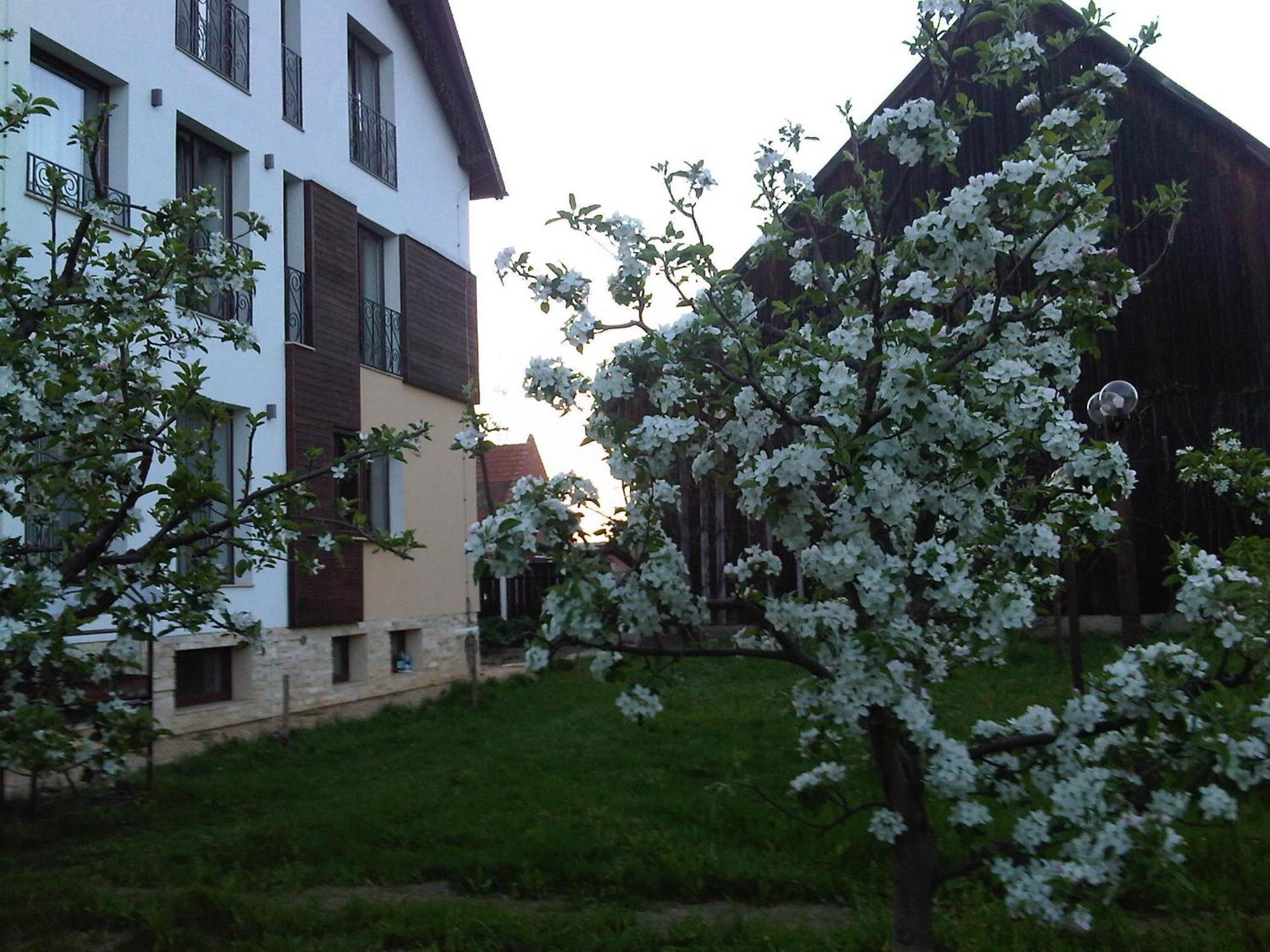 Stupina Hotel Brasov Ngoại thất bức ảnh