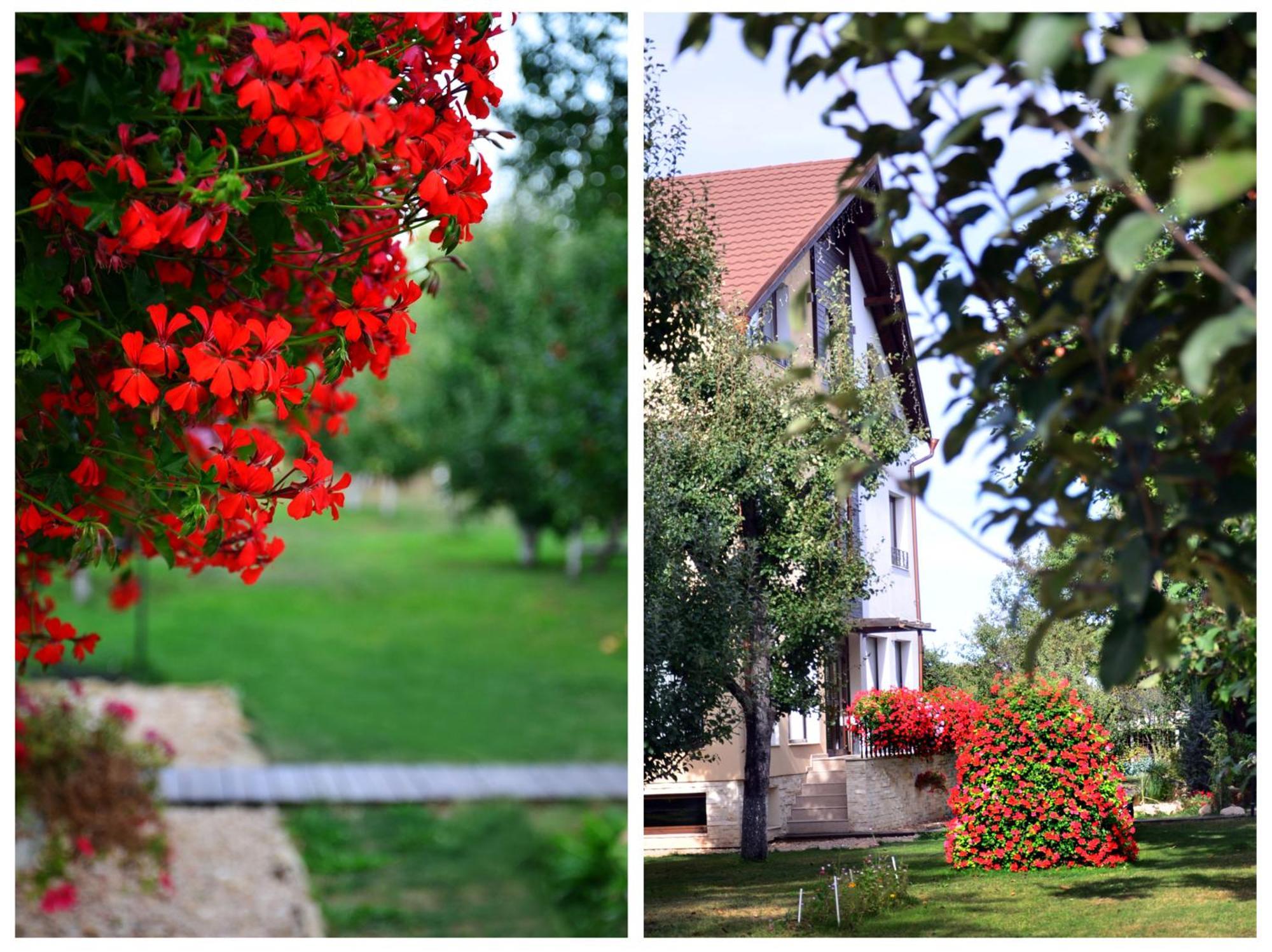 Stupina Hotel Brasov Ngoại thất bức ảnh