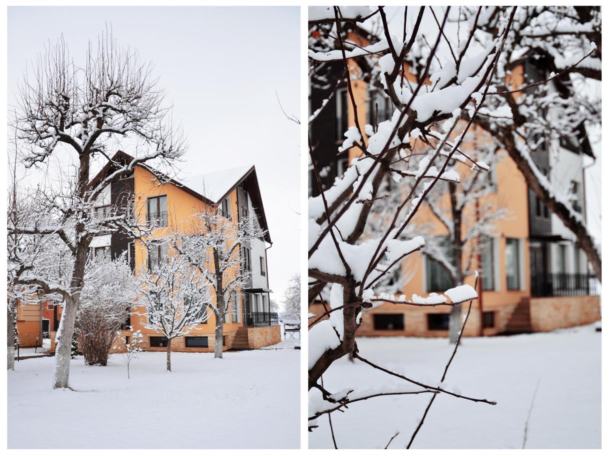Stupina Hotel Brasov Ngoại thất bức ảnh